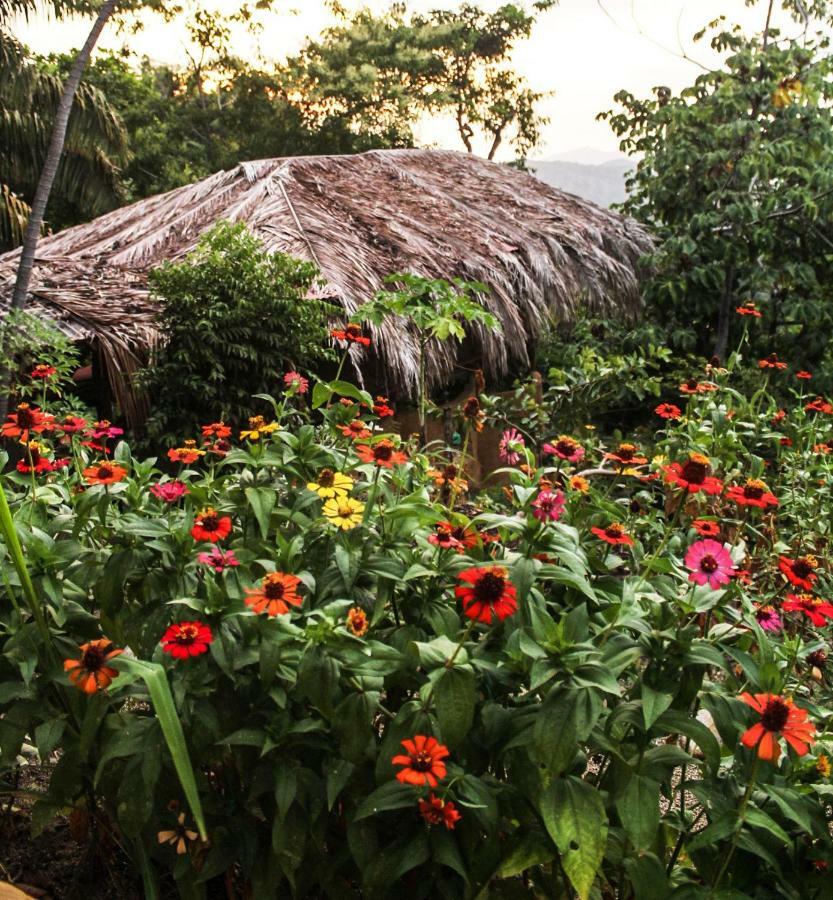 Sol De Minca Eco Lodge Екстериор снимка